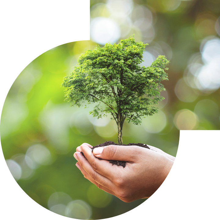 關懷人類、文化、環境與社會